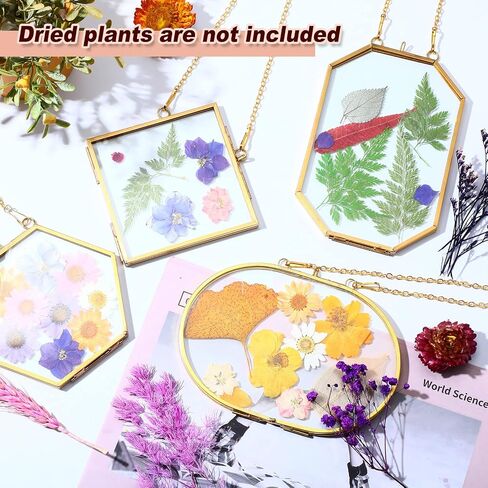 Reginary 9 Pcs Pressed Flowers Glass Frames Double Glass Hanging Floating Frames Gold DIY Brass Artwork Display Frames for Dried Plant Flowers Specimen Gallery Photo Display Wall Decor in Saudi Arabia