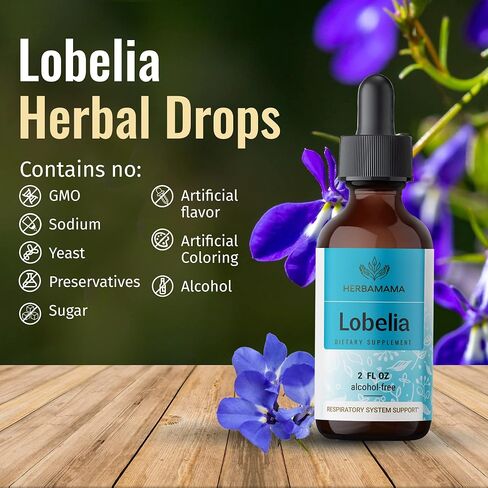 HERBAMAMA Lobelia Tincture - Organic Lobelia Herb Liquid Drops - Alcohol-Free - Vegan Supplement - 2 fl oz in Saudi Arabia