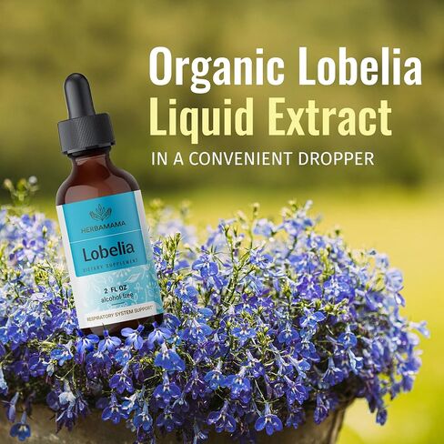 HERBAMAMA Lobelia Tincture - Organic Lobelia Herb Liquid Drops - Alcohol-Free - Vegan Supplement - 2 fl oz in Saudi Arabia