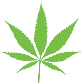ملصق من الفينيل على شكل نبات Cannibus Marijuana Leaf ممتص الصدمات لنافذة السيارة مقطوع بقالب 5 بوصات عالي الجودة مقاوم للأشعة فوق البنفسجية صفائح طبية ترفيهية (5 بوصات، أسود) JMM00287BLK5