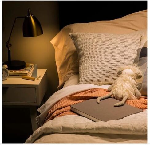 GE Relax ST19 Vintage 60 Watt يعادل قاعدة متوسطة بيضاء ناعمة (E-26) مصابيح إضاءة زخرفية قابلة للتعتيم (4 عبوات) in Saudi Arabia