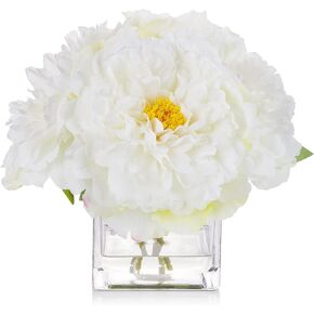 Enova Floral Artificial Flowers Silk Peony Fake Flowers Arrangement in Cube Glass Vase with Faux Water for Home Office Wedding Event (Cream)