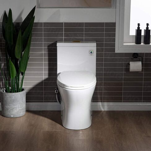 WOODBRIDGEE Modern Elongated One piece Toilet Dual flush 1.0/1.6 GPF,with Soft Closing Seat,1000 Gram MaP Flushing Score Toilet with Brushed Gold Button B0750-BG, White in Saudi Arabia