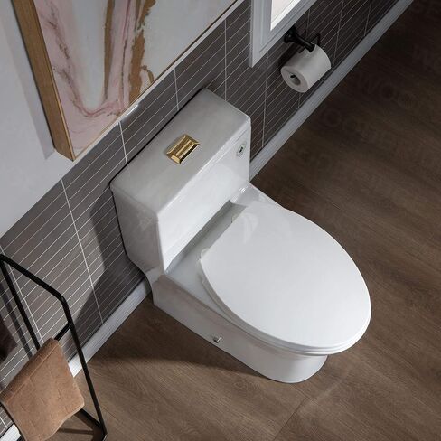 WOODBRIDGEE Modern Elongated One piece Toilet Dual flush 1.0/1.6 GPF,with Soft Closing Seat,1000 Gram MaP Flushing Score Toilet with Brushed Gold Button B0750-BG, White in Saudi Arabia