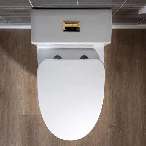WOODBRIDGEE Modern Elongated One piece Toilet Dual flush 1.0/1.6 GPF,with Soft Closing Seat,1000 Gram MaP Flushing Score Toilet with Brushed Gold Button B0750-BG, White in Saudi Arabia
