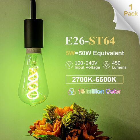 DiCUNO Smart Edison Bulb ST64, Color Changing WiFi Smart Light Bulb, Vinatge ST21 Filament Bulb Work with Alexa & Google, Dimmable with App, 50 Watt Equivalent 450LM, No Hub Required, 1 Pack in Saudi Arabia
