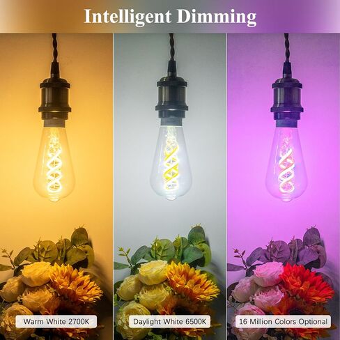 DiCUNO Smart Edison Bulb ST64, Color Changing WiFi Smart Light Bulb, Vinatge ST21 Filament Bulb Work with Alexa & Google, Dimmable with App, 50 Watt Equivalent 450LM, No Hub Required, 1 Pack in Saudi Arabia