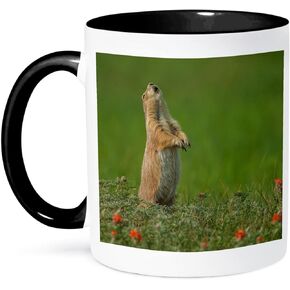 3dRose USA Oklahoma Chandler Route 66 Interpretive Center Two Tone Mug, 11 oz, Black