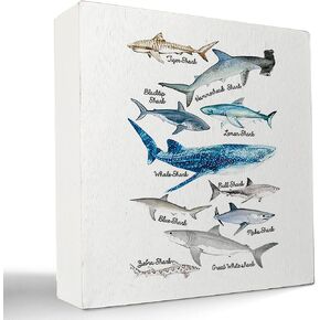 kunlisa Sea Life Whale Educational Ocean Animal Wooden Box Sign Desk Decor,Farmhouse Whale Theme Wood Block Plaque Box Sign for Coastal Beach Home Classroom Library Dorm Shelf Table Decoration