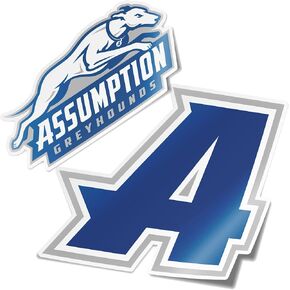 Desert Cactus Assumption University Stickers Greyhounds Vinyl Decal Laptop Water Bottle Car Scrapbook College Sticker (4 Inch Set V1)