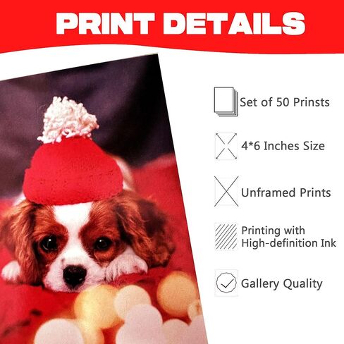 ملصقات AMLUCOK Vintage Traval، بطاقات بريدية جمالية في وسط المدينة، ملصق ديكور حائط قديم ملون، لغرفة Preppy، غرفة النوم، غرفة المعيشة، ديكور الفصل الدراسي (4"×6" غير مؤطرة) in Kuwait