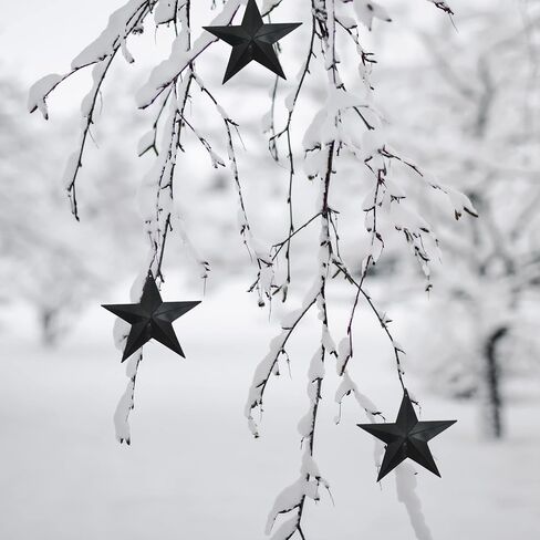 LINCOUNTRY Small Rustic Metal Barn Star Crafts,Black Barn Star,Wall Metal Art Decor,Indoor Outdoor Hanging 3 Inch Tin Star,Country Primitive Vintage Star Ornaments Christmas 4th of July 12pcs in Saudi Arabia