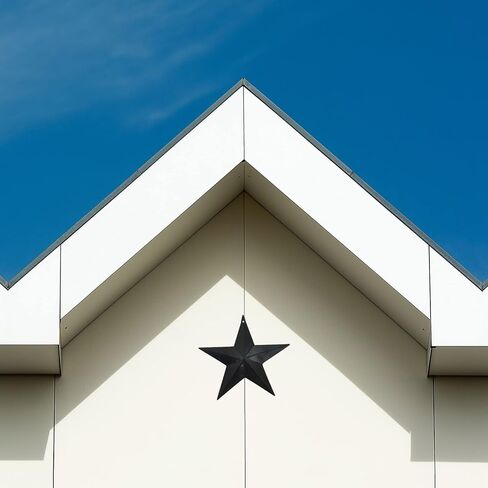LINCOUNTRY Small Rustic Metal Barn Star Crafts,Black Barn Star,Wall Metal Art Decor,Indoor Outdoor Hanging 3 Inch Tin Star,Country Primitive Vintage Star Ornaments Christmas 4th of July 12pcs in Saudi Arabia