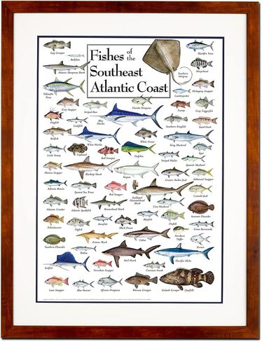 Earth Sky + Water - Fishes of the Southeast Atlantic Coast - Poster in Saudi Arabia