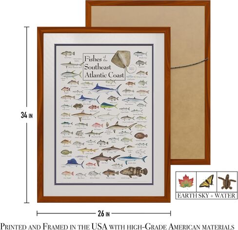 Earth Sky + Water - Fishes of the Southeast Atlantic Coast - Poster in Saudi Arabia