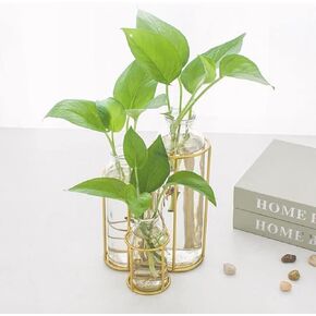 Flower Vases with 3 Bottle Crystal Clear Glass Flower Vase with Metal Stand Propagation Station Plant Display Holder Set for Home or Wedding Décor
