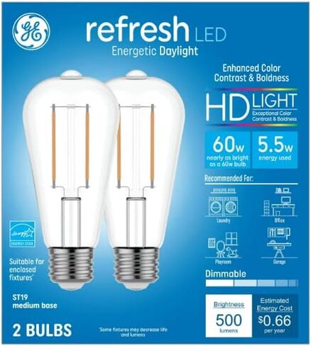 GE Refresh LED Vintage 60 watt Equivalent Daylight Dimmable Decorative Light Bulb (2 Pack) in Saudi Arabia