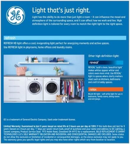 GE Refresh LED Vintage 60 watt Equivalent Daylight Dimmable Decorative Light Bulb (2 Pack) in Saudi Arabia