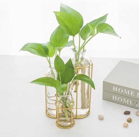 Flower Vases with 3 Bottle Crystal Clear Glass Flower Vase with Metal Stand Propagation Station Plant Display Holder Set for Home or Wedding Décor in Saudi Arabia