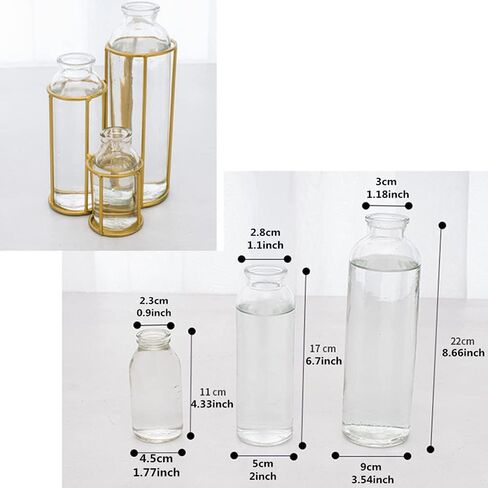 Flower Vases with 3 Bottle Crystal Clear Glass Flower Vase with Metal Stand Propagation Station Plant Display Holder Set for Home or Wedding Décor in Saudi Arabia