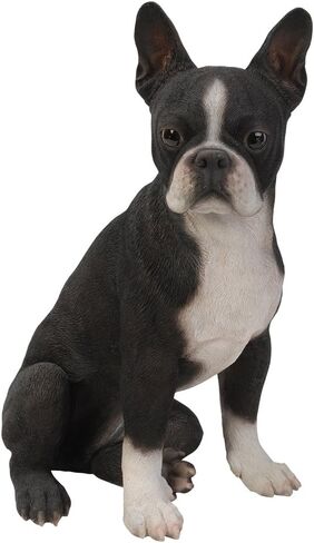 Realistic Life Size Boston Terrier Statue Detailed Sculpture Glass Eyes Hand Painted Resin 16 inch Figurine Home Decor Amazing Likeness in Saudi Arabia