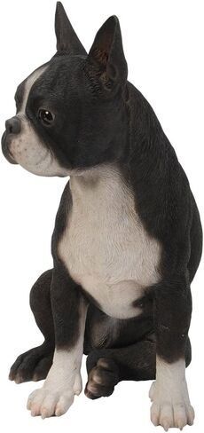 Realistic Life Size Boston Terrier Statue Detailed Sculpture Glass Eyes Hand Painted Resin 16 inch Figurine Home Decor Amazing Likeness in Saudi Arabia