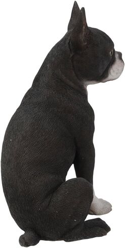 Realistic Life Size Boston Terrier Statue Detailed Sculpture Glass Eyes Hand Painted Resin 16 inch Figurine Home Decor Amazing Likeness in Saudi Arabia