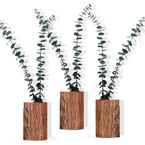 3 Pack Wood Wall Planters for Indoor, with 6 PCS Real Preserved Eucalyptus Stems, Boho Art Tree Stump Vases Decor for Dried Flowers and Faux Greenery, Modern Farmhouse Decor for Bathroom
