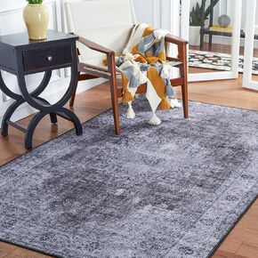 Safavieh Tucson Collection Area Rug - 4' Square, Black & Grey, Persian Design, Machine Washable & Slip Resistant, Ideal for High Traffic Areas in Living Room, Bedroom, Dining (TSN190Z-4SQ)