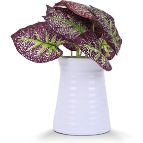 VanEnjoy 6 inch Modern Ribbed Design Small White Ceramic Decorative Tabletop Centerpiece Vase Flower Pot (White Spiral)