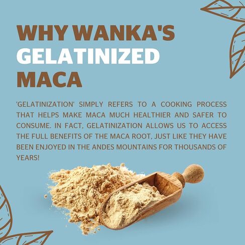 Organic Gelatinized Maca Powder, 8oz or 227g 1 Bag, Peruvian Maca Root. Vegan, USDA Organic, Non-GMO, Gluten-Free, Keto-Friendly Adaptogen Used to Boost Energy, Vitality, and Endurance in Saudi Arabia