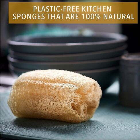 ENEY Eco-Friendly Natural Kitchen Washing Up Sponge | 100% Plant-Based Biodegradable | Four Pack of Non-Odor Dish Sponges | Sustainable Unbleached Loofah | Plastic-Free in Saudi Arabia