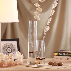 TIED RIBBONS Glass Vase Set of 2 | 12, 7 Inch | Flower Vases for Bouquet, Mantel, Modern Home Decor, Desk Decoration | Glass Vases for Centerpieces, Table Office