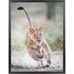 18x21 Picture Frame Solid Wood 18x21 Poster Frame for Wall 18x21 Photo Frames Family Black (T22B1821)