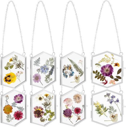 Leinuosen 8 Pcs Hanging Glass Floating Frame 3.7'' x 3.3'' Pressed Flower Frame Vintage Brass Hexagon Floating Picture Frame Double Picture Artwork Display Frame for Photo Picture DIY Home (Gold) in Saudi Arabia