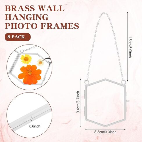 Leinuosen 8 Pcs Hanging Glass Floating Frame 3.7'' x 3.3'' Pressed Flower Frame Vintage Brass Hexagon Floating Picture Frame Double Picture Artwork Display Frame for Photo Picture DIY Home (Gold) in Saudi Arabia