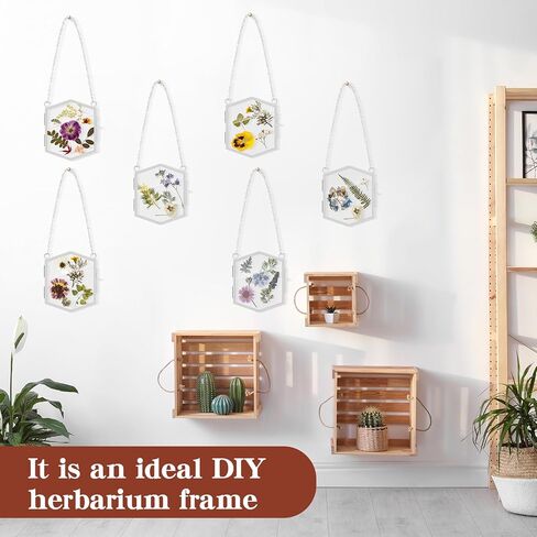 Leinuosen 8 Pcs Hanging Glass Floating Frame 3.7'' x 3.3'' Pressed Flower Frame Vintage Brass Hexagon Floating Picture Frame Double Picture Artwork Display Frame for Photo Picture DIY Home (Gold) in Saudi Arabia