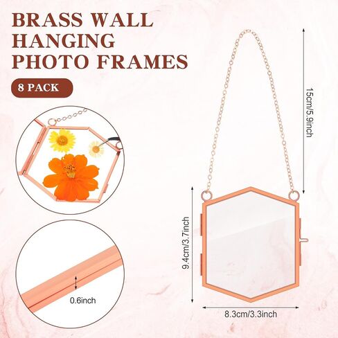 Leinuosen 8 Pcs Hanging Glass Floating Frame 3.7'' x 3.3'' Pressed Flower Frame Vintage Brass Hexagon Floating Picture Frame Double Picture Artwork Display Frame for Photo Picture DIY Home (Gold) in Saudi Arabia