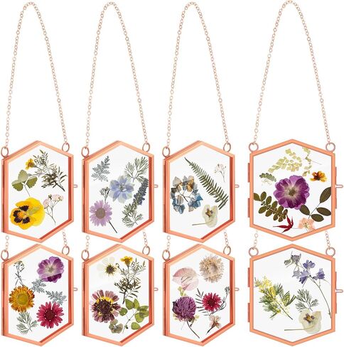 Leinuosen 8 Pcs Hanging Glass Floating Frame 3.7'' x 3.3'' Pressed Flower Frame Vintage Brass Hexagon Floating Picture Frame Double Picture Artwork Display Frame for Photo Picture DIY Home (Gold) in Saudi Arabia