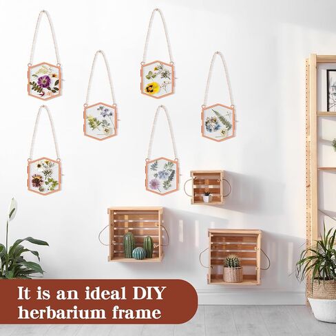 Leinuosen 8 Pcs Hanging Glass Floating Frame 3.7'' x 3.3'' Pressed Flower Frame Vintage Brass Hexagon Floating Picture Frame Double Picture Artwork Display Frame for Photo Picture DIY Home (Gold) in Saudi Arabia