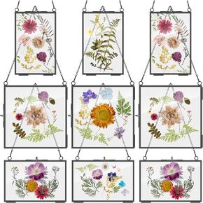 9 Pcs Glass Frame for Pressed Flowers 6x4 4x6 6x6 in Hanging Picture Frames Black Floating Pressed Flower Frame Double Glass Display Frame with Chain for Dried Flower Plant Specimen Wall Decor