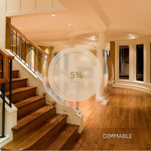 2 inch Gimbal Trimless Round Downlight Luminaire, Black Finish, LED Recessed Light Fixtures Dimmable 8W=65W, 600 Lumens, CRI 90+, IC Rated, 5CCT Selectable 2700K|3000K|3500K|4100K|5000K in Saudi Arabia