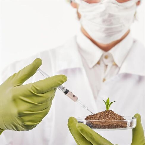 Dispensing Needl Accessories Sterile Disposable Needle 16Ga 1 Inch Dispensing Lab Tools for Refilling Liquid Individually Packaged 60 Pcs in Kuwait