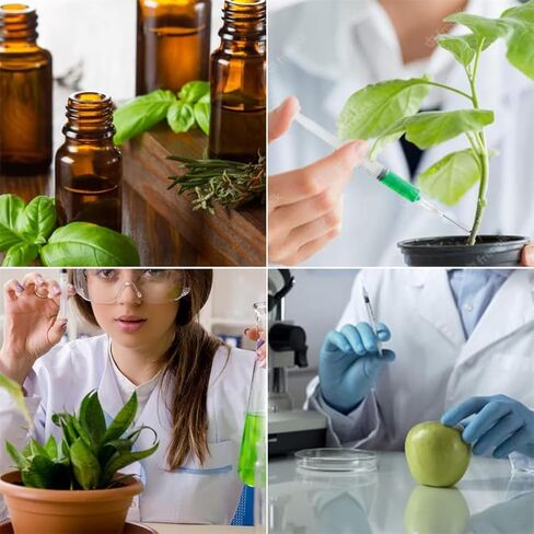 Dispensing Needl Accessories Sterile Disposable Needle 16Ga 1 Inch Dispensing Lab Tools for Refilling Liquid Individually Packaged 60 Pcs in Kuwait