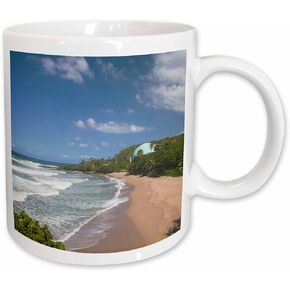 كوب 3dRose_74498_1 "Puerto Rico، West Coast، Rincon، Domes Beach-CA27 WBI0208 - Walter Bibikow"، كوب سيراميك، 11 أونصة، متعدد الألوان