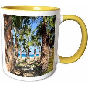 3dRose Palms Line Myrtle Beach South Carolina Magic Transforming Mug, 11-Ounce
