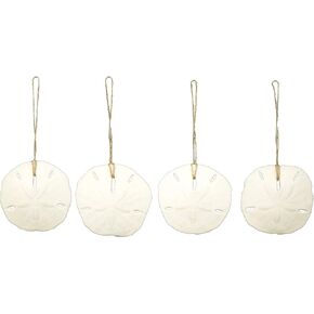 Sand Dollar Ornaments | Natural Sand Dollars 3" with Jute Twine | Set of 4 | Real Sand Dollars for Beach Wedding Decor | Plus Free Nautical eBook by Joseph Rains
