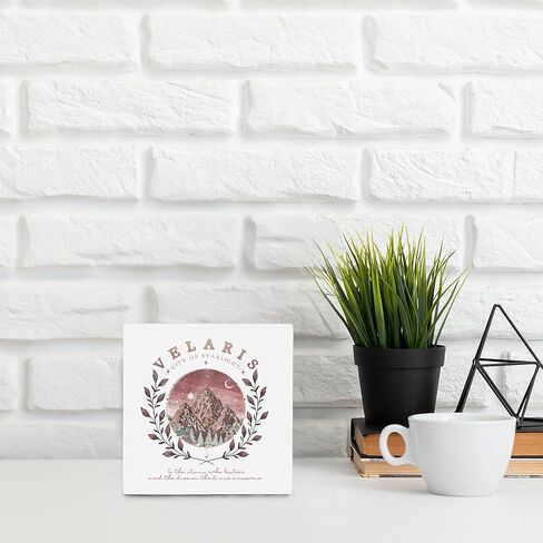 OFlich Book Lovers Wood Box Sign - Book Lovers Readers Gifts, the House of Wind Book Club Bookish Wooden Signs for Home Decor, Velaris Decor, Book Shelf Decor, Book Club Gifts 5x5 (Black-2) in Kuwait