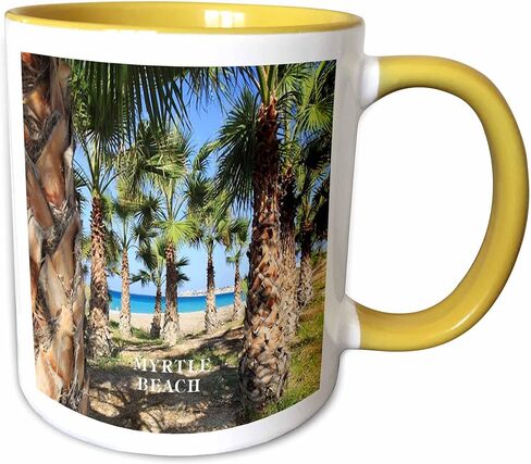 3dRose Palms Line Myrtle Beach South Carolina Magic Transforming Mug, 11-Ounce in Saudi Arabia
