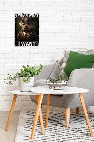 Metal Sign Border Lion Are You Pooping Sign Vintage Funny Sign Retro Aluminum Tin Signs for Home Farm Garden Bar Bathroom Kitchen 8x12 Inches(190) in Saudi Arabia